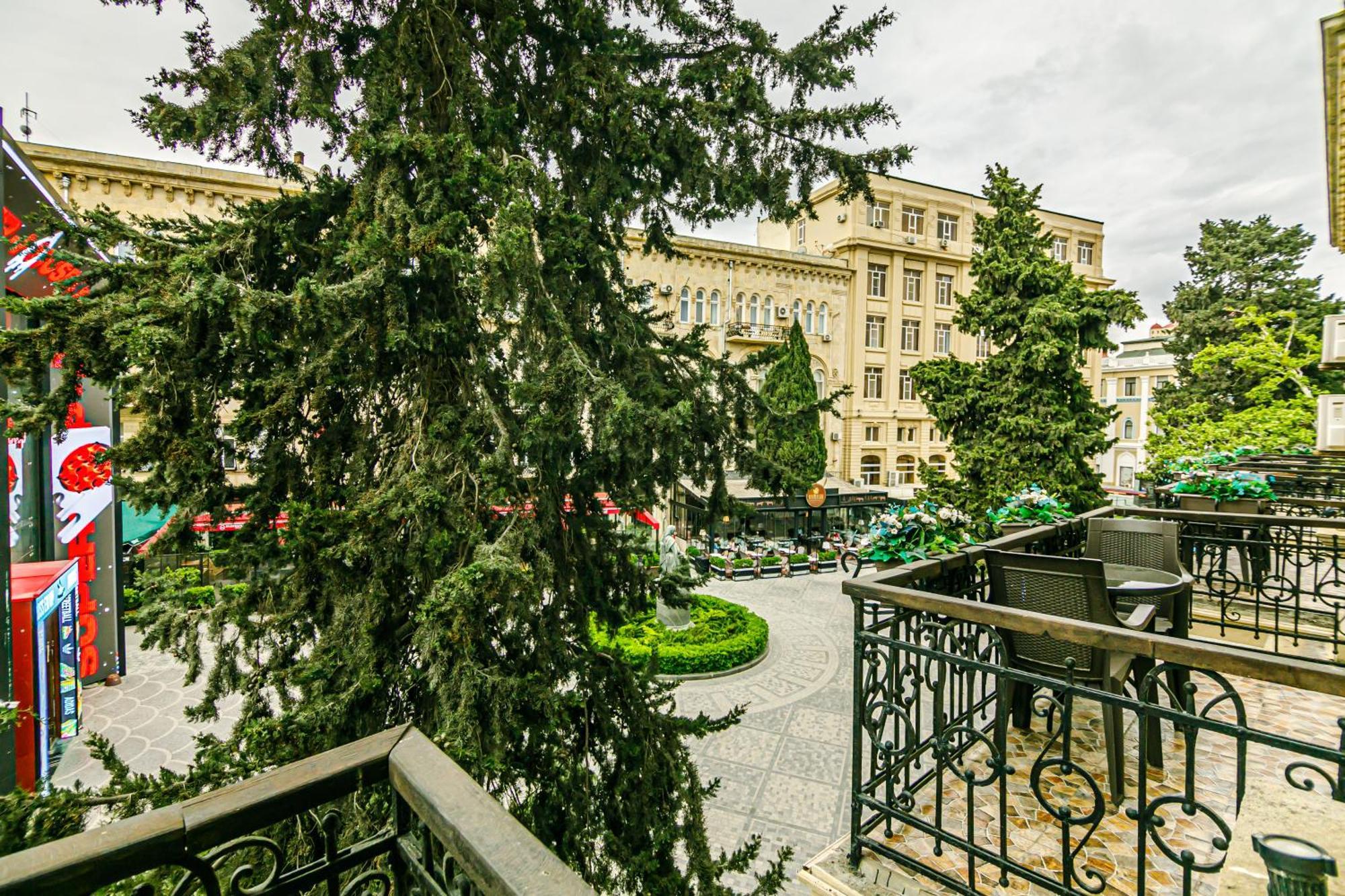 Park Hotel 4*